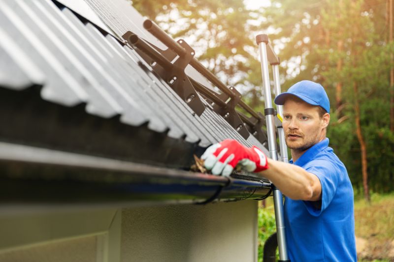 Roof Gutter Cleaning in Pittsburgh, PA